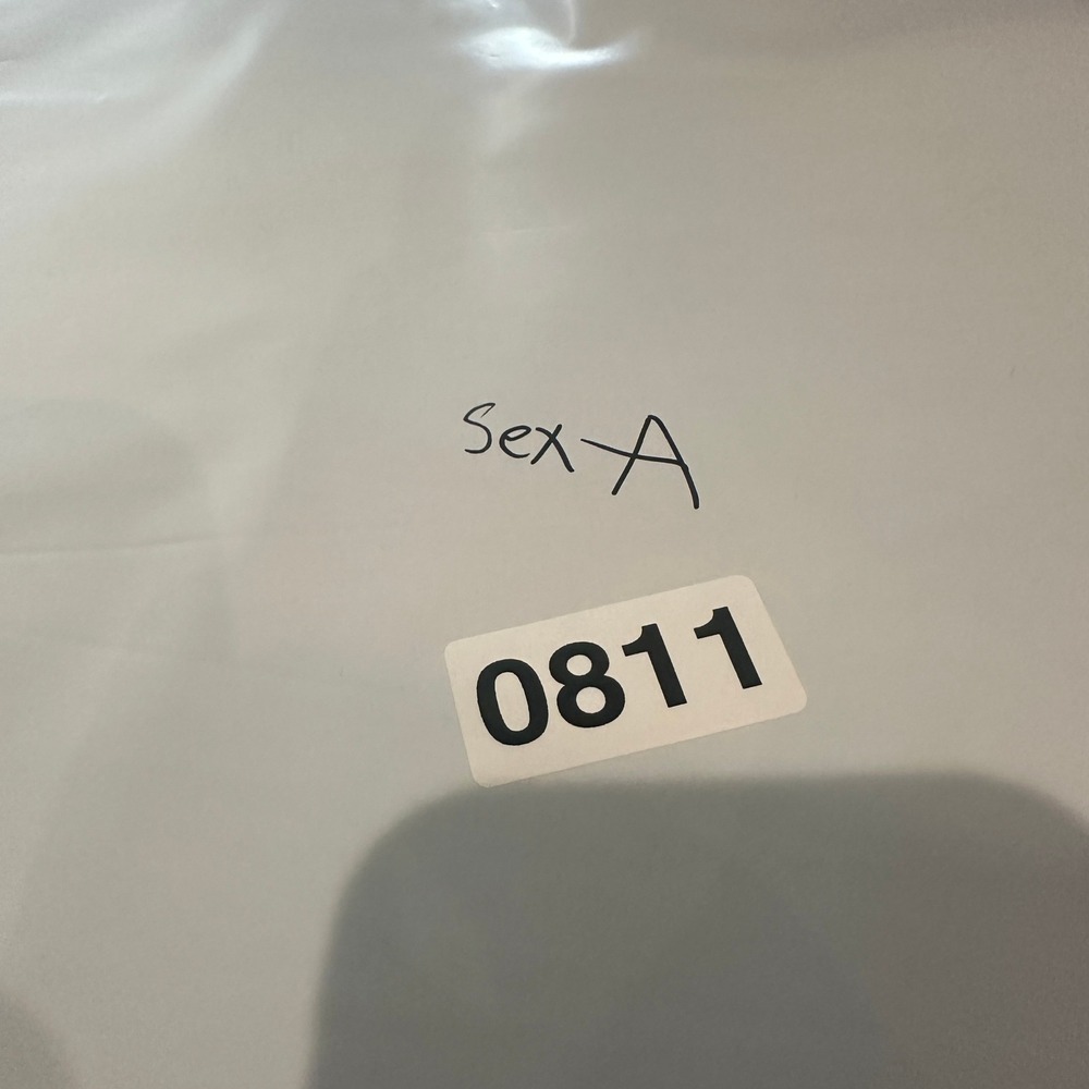 Sex Appeal Roma Italia Graphic T-Shirt Black Tag XL Fits M Rome Single Stitch - Picture 8 of 8